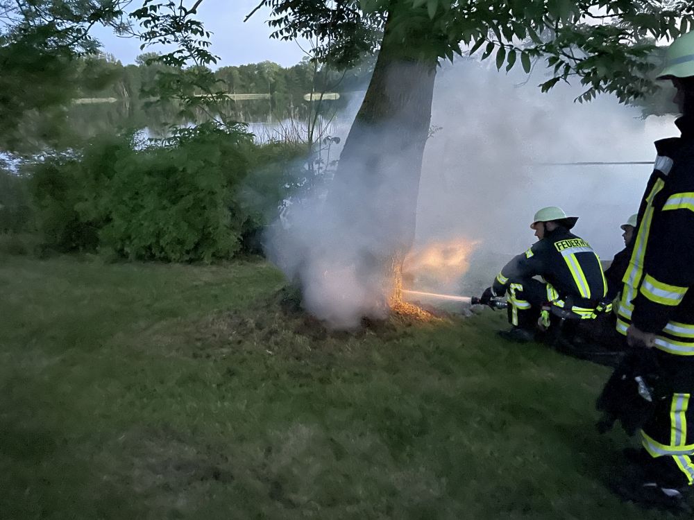 2021 06 09 feuer brennender baum