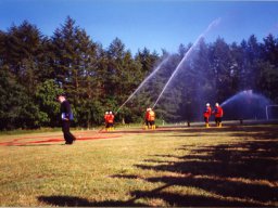 Bezirksfeuerwehrfest in Warder 1994