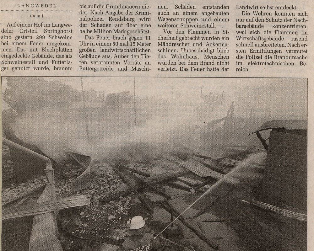 Zeitungsartikel