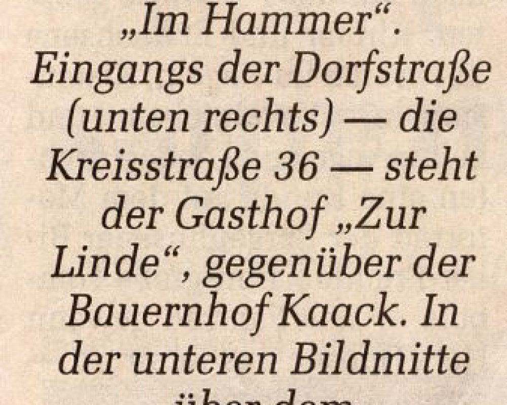 Zeitungsartikel